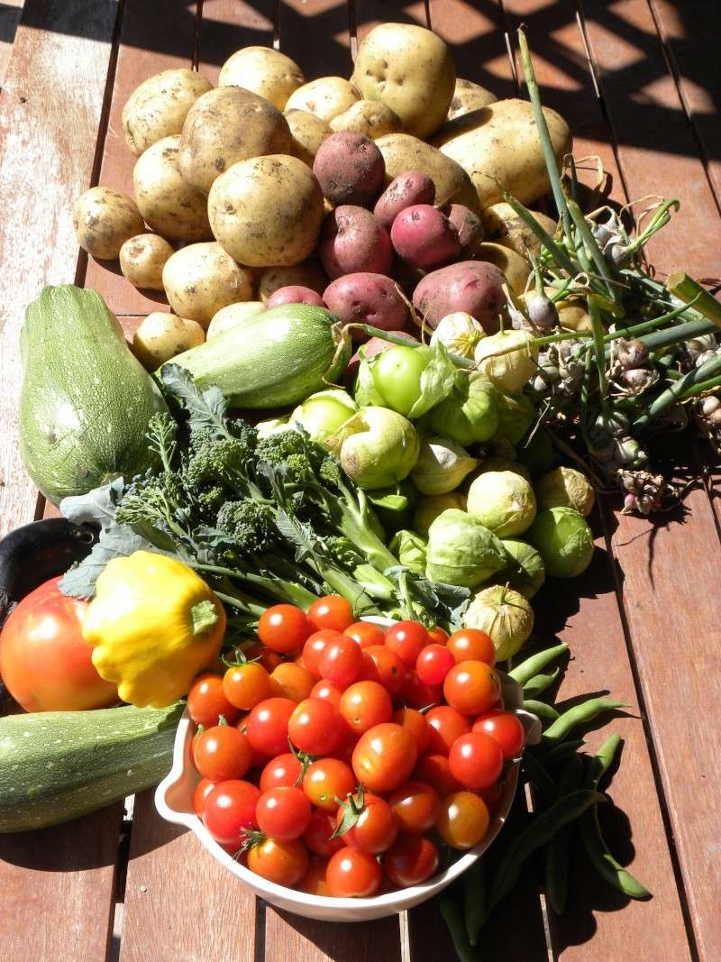 Monthly Avatar: September, Show Off Your Garden Harvest! 12-sep12