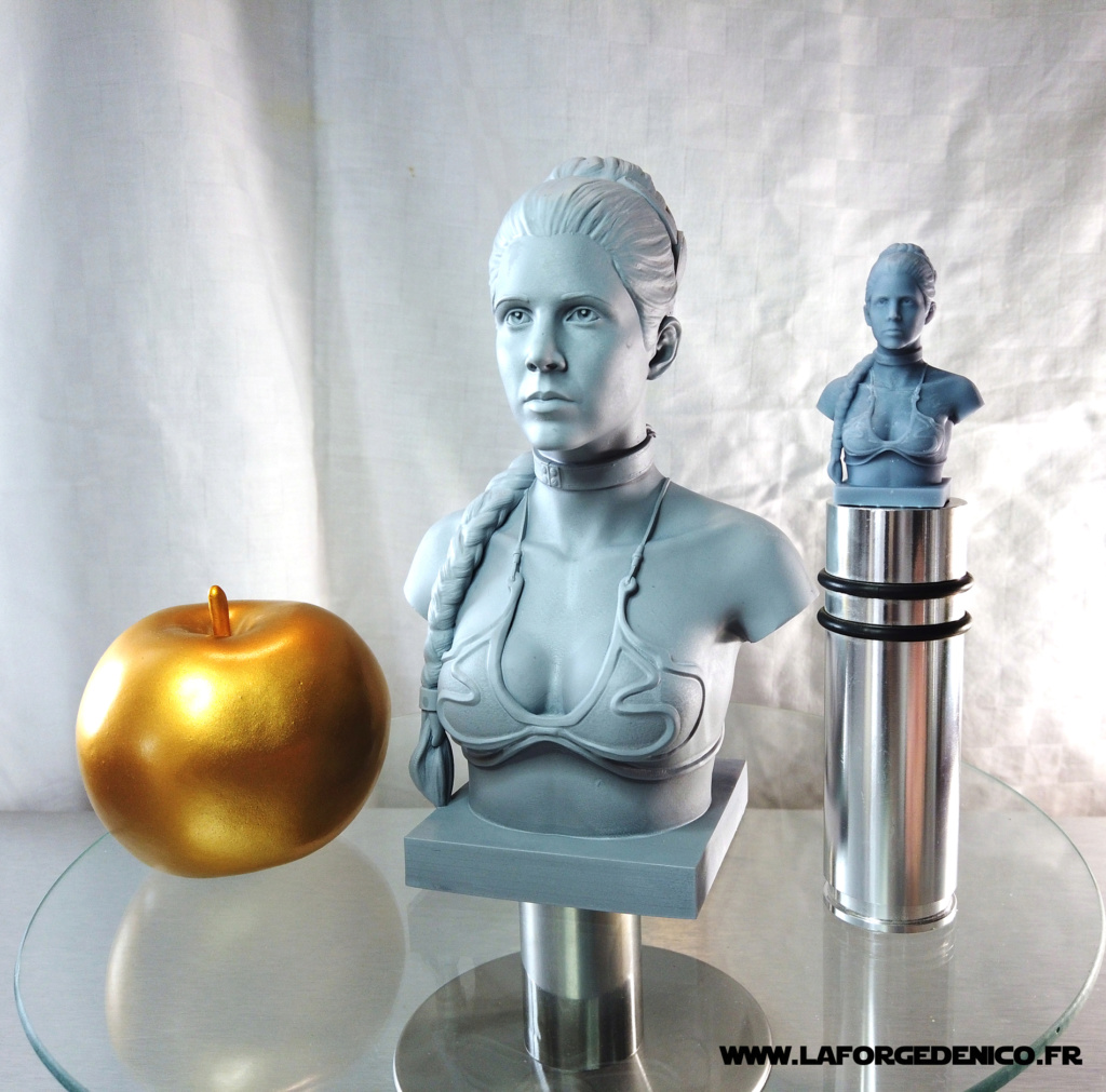Buste de la Princesse Leia imprimé en résine 3D Dji_0139