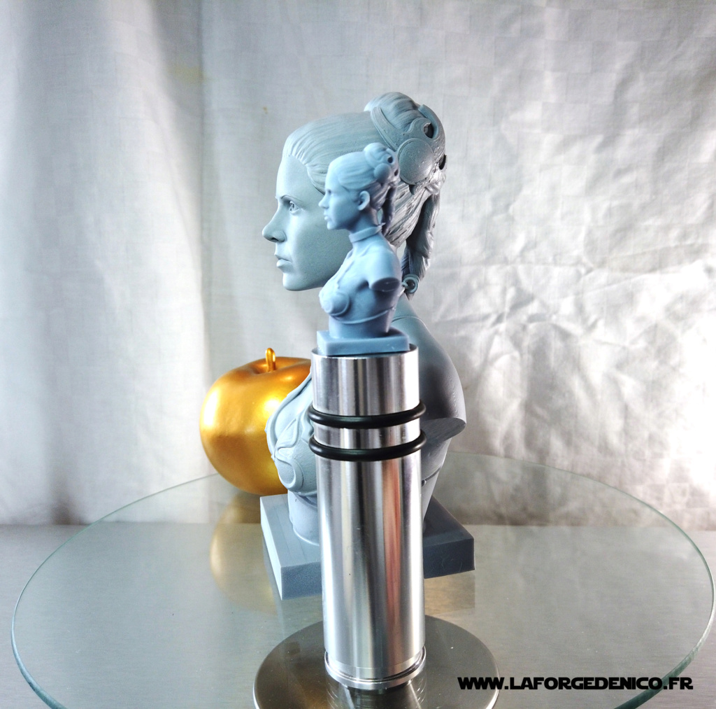Buste de la Princesse Leia imprimé en résine 3D Dji_0142