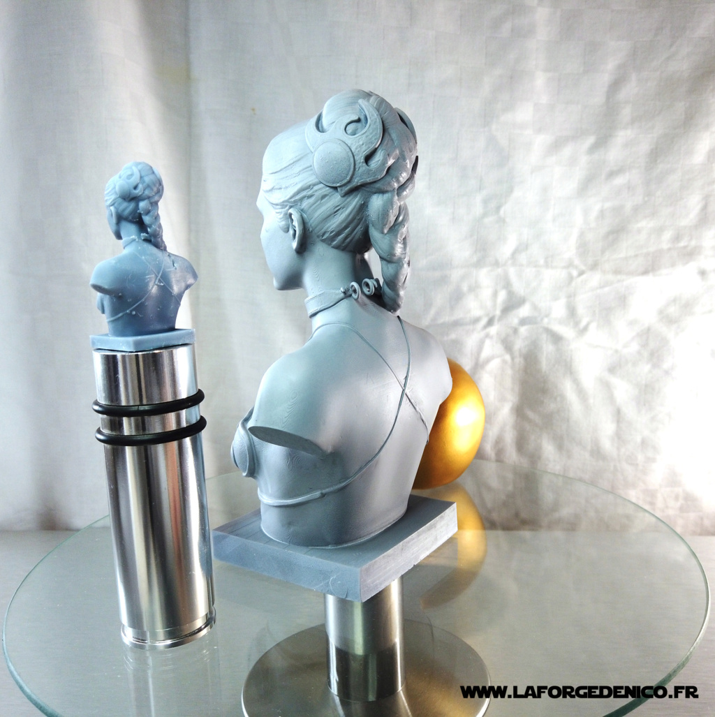 Buste de la Princesse Leia imprimé en résine 3D Dji_0144