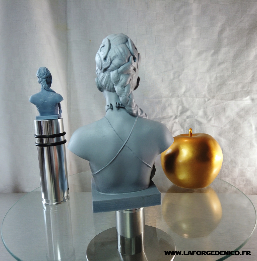 Buste de la Princesse Leia imprimé en résine 3D Dji_0146
