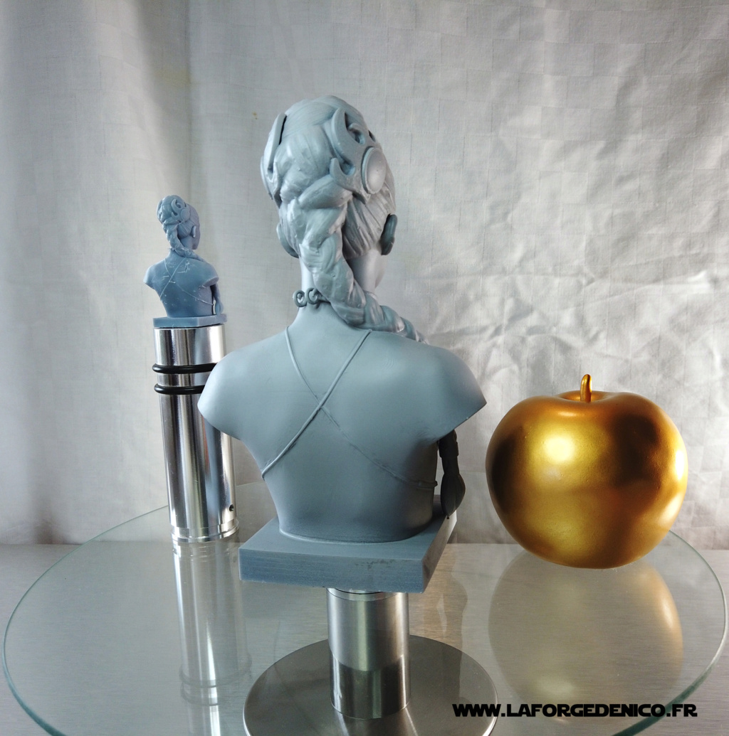 Buste de la Princesse Leia imprimé en résine 3D Dji_0147