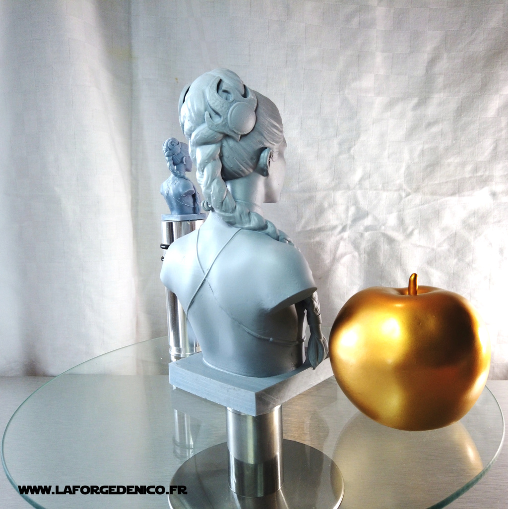 Buste de la Princesse Leia imprimé en résine 3D Dji_0148