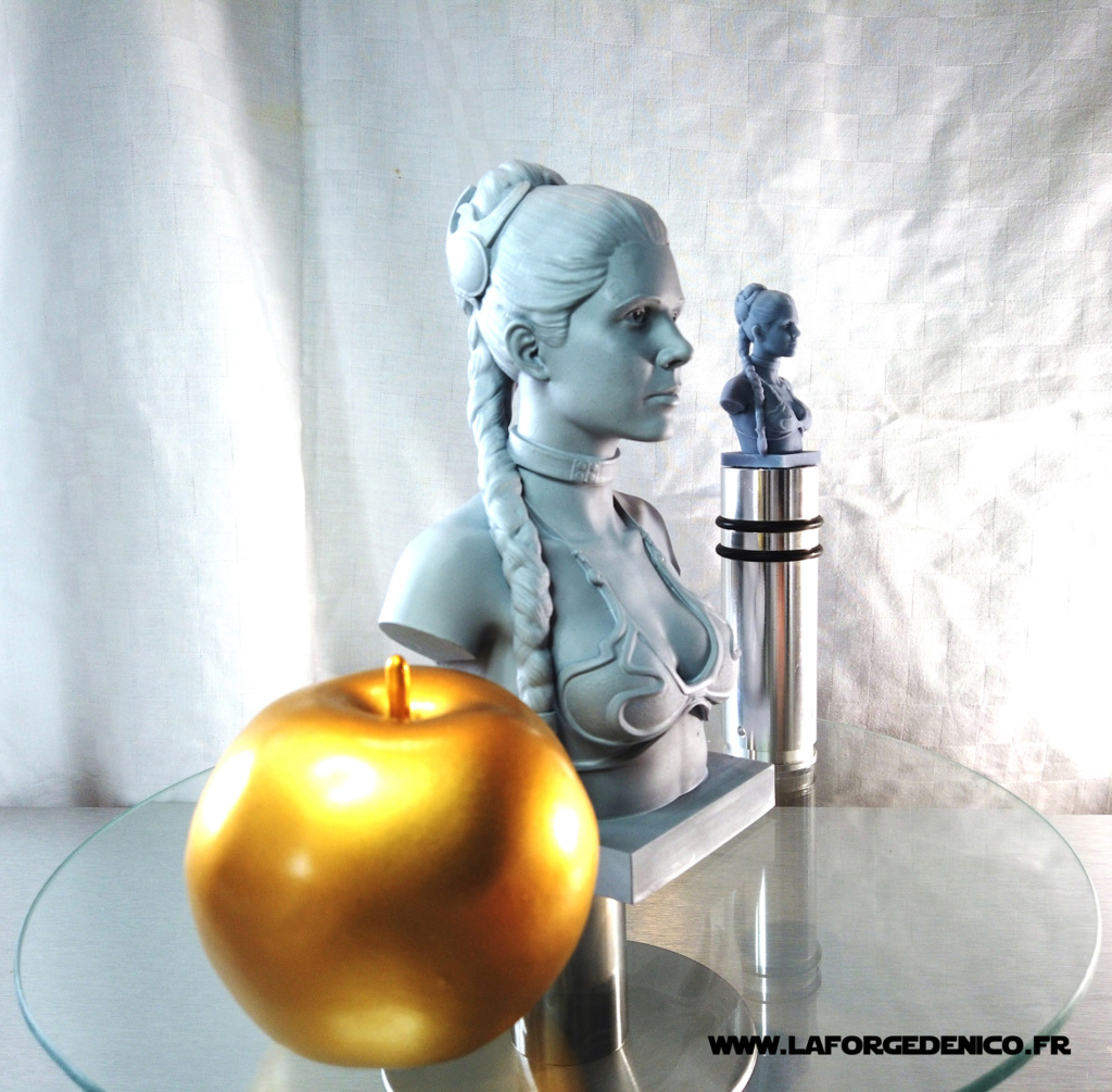 Buste de la Princesse Leia imprimé en résine 3D Dji_0151