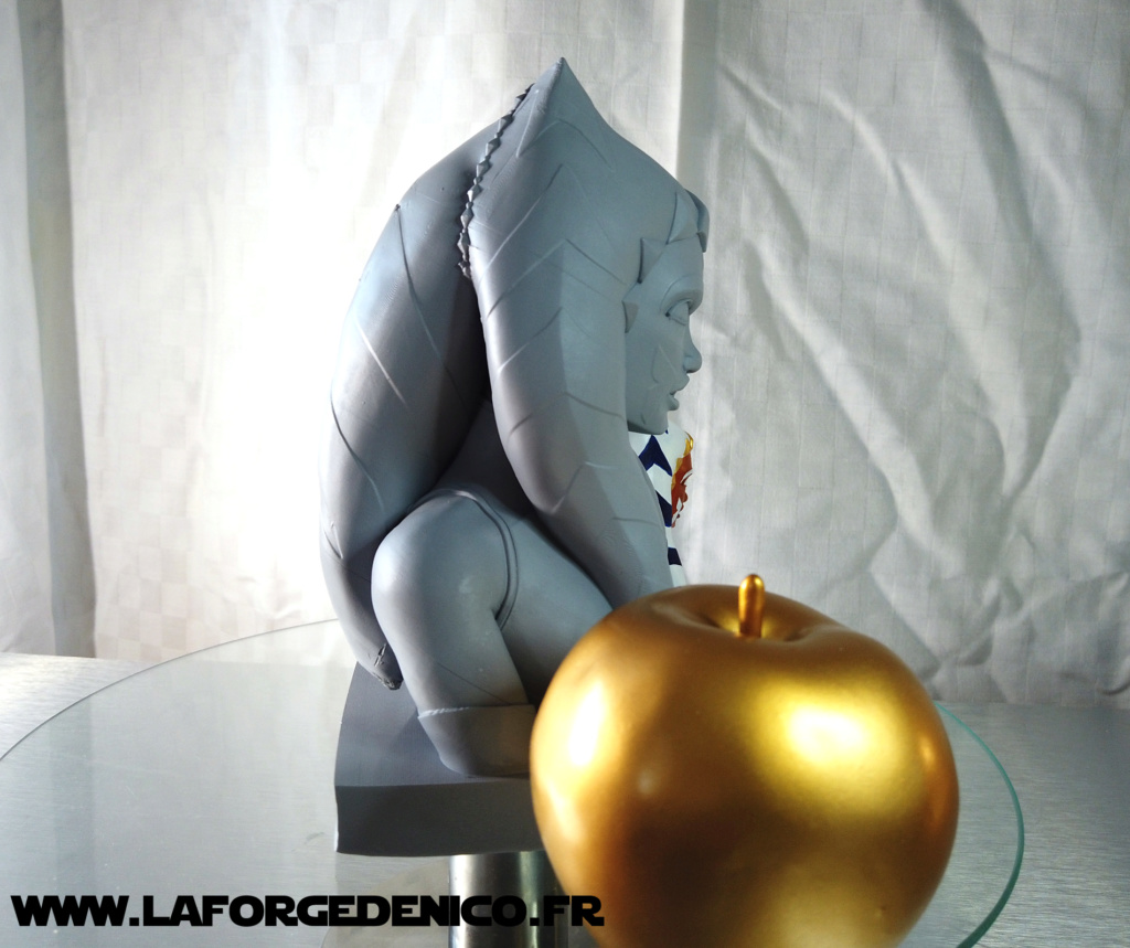 Buste d'Ahsoka Tano imprimé en résine 3D Dji_0322