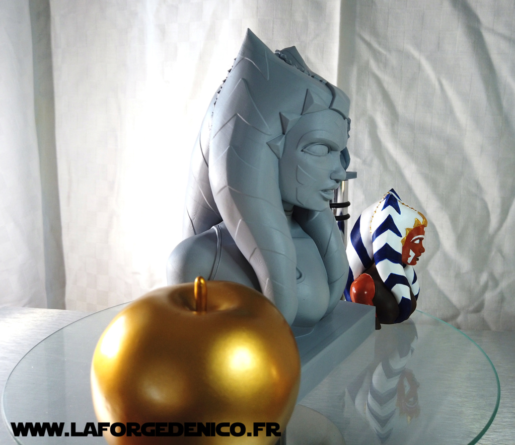 Buste d'Ahsoka Tano imprimé en résine 3D Dji_0323
