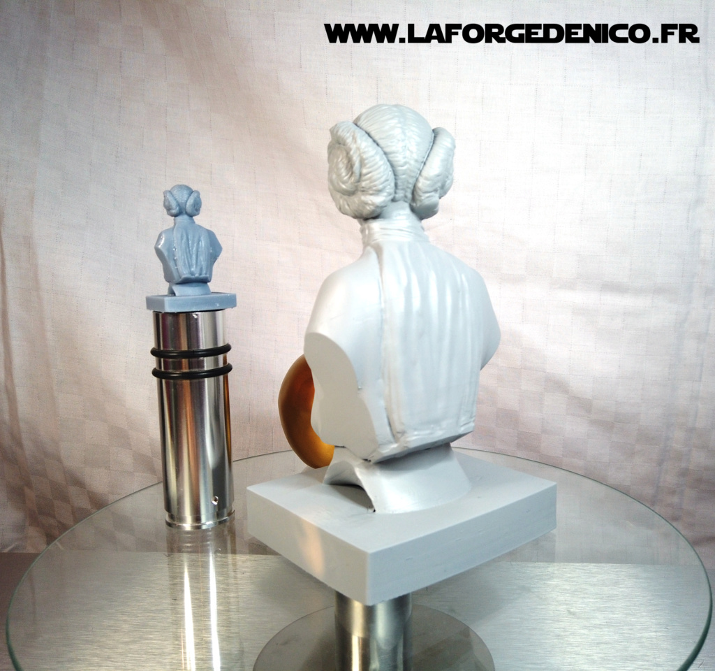 Buste de la Princesse Leia - 2 peintres / 2 techniques Dji_0414