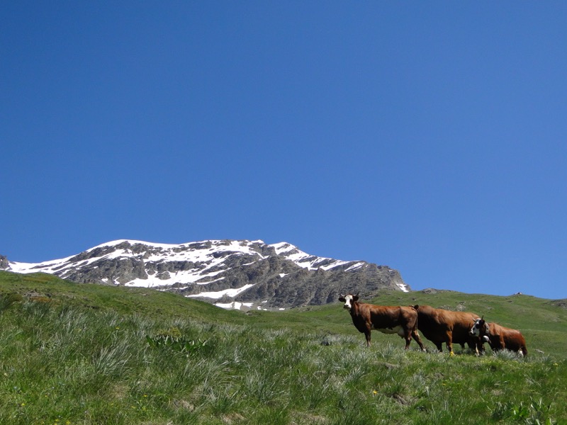 Lanslevillard (Le Collet) - la Pierre aux Pieds Dsc04410