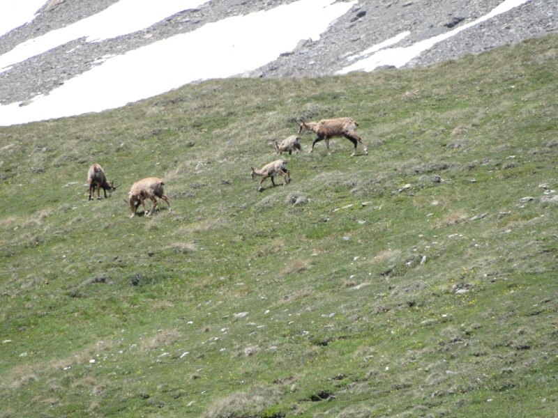 Lanslevillard (Le Collet) - la Pierre aux Pieds Dsc04413