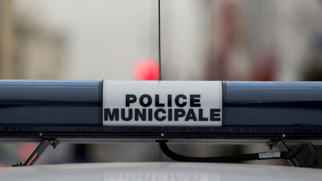 Seine-et-Marne : des policiers caillassés et un élu roué de coups Pm110