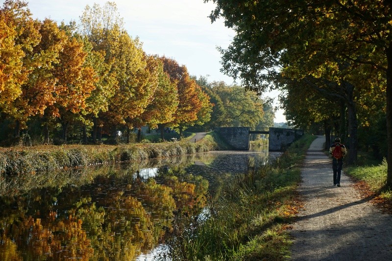 Canal d'Ille et Rance Dsc05510