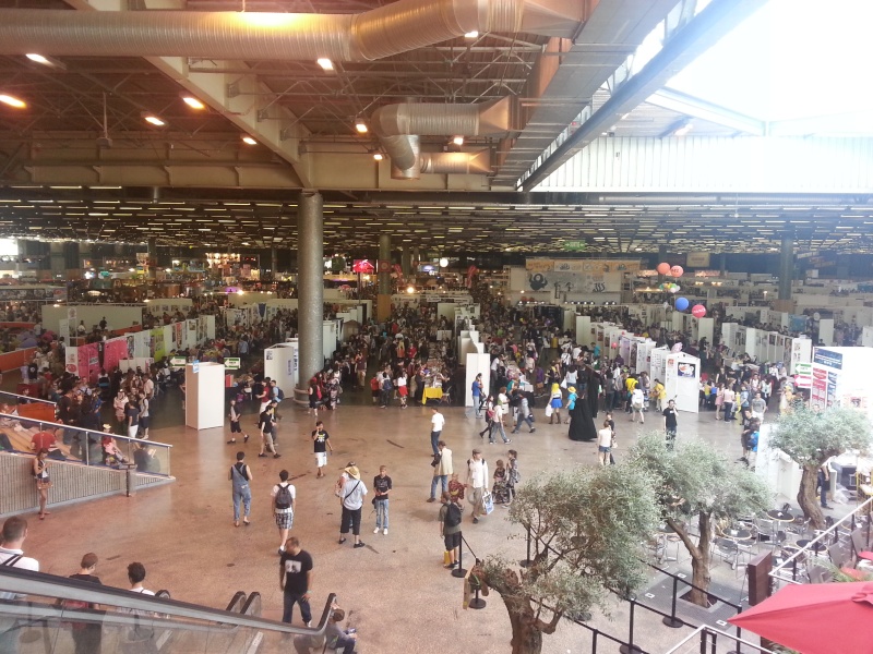 TOF de la japan expo et de ma collection personnel de mangas et autres goodies ^^  20130710