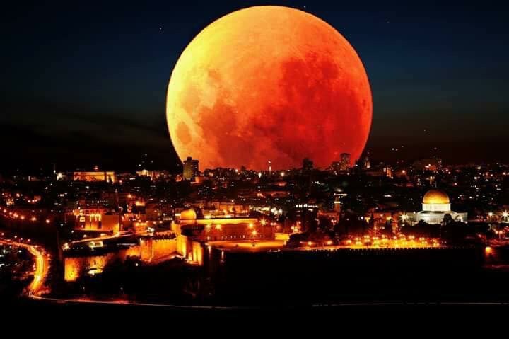 La magifique lune de cette nuit... Image11