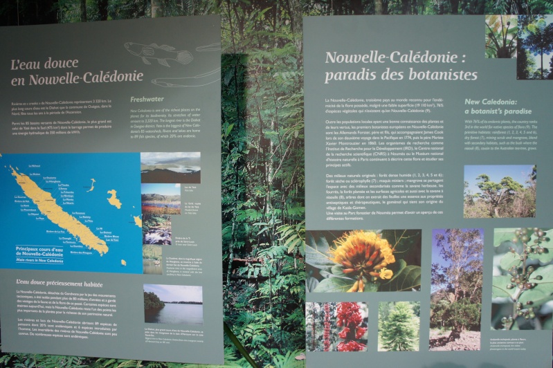 L'aquarium de Nouméa [Nouvelle Calédonie] + Baleines! Dsc02111