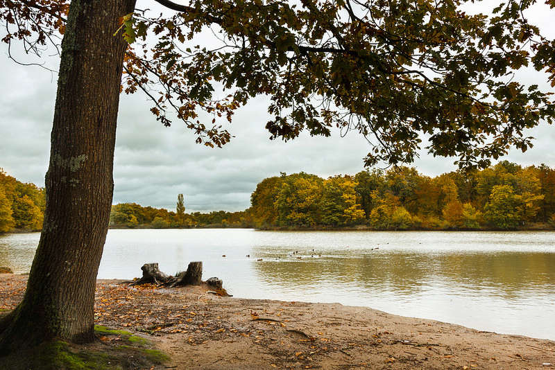 Election de la photo du concours de Novembre 2016 + Résultats 0110