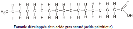 TF  Acides gras saturés vs acides gras insaturés Acide-10
