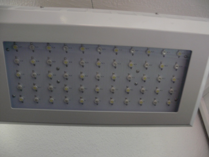 Fabricant Rampes LED sur mesure et pas chère! P1230510