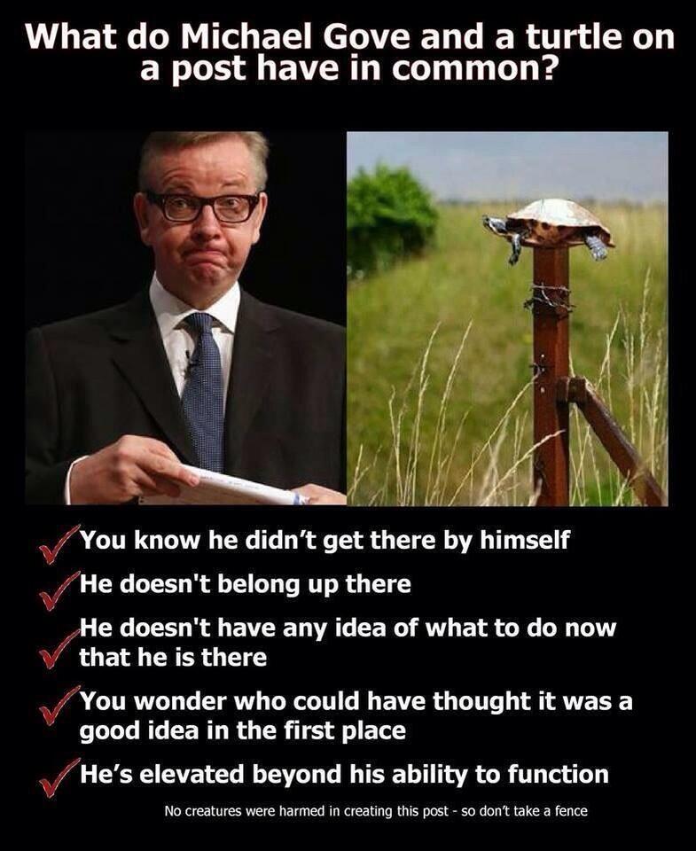 Favourite 'tweets' - Page 16 Gove_a10