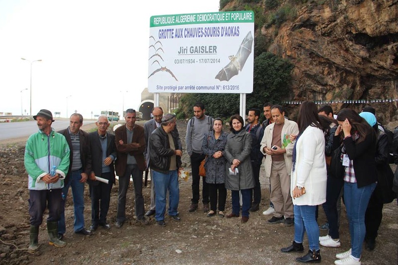 GROTTE D’AOKAS (Béjaïa ) Premier gîte pour chiroptères protégés en Algérie 311