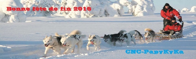 pompe injection qui fuit s3 td 2000 - Page 5 Husky-12
