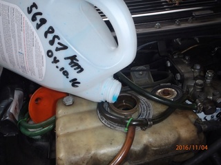Placement d'antigel concentré moteur VM. (5 litres). Pb040110