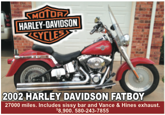 2002 Fatboy Harley Davidson 2002_h13