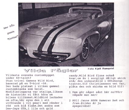 1959 Ford Thunderbird - Wild Bird - Bo Sandberg 31177110