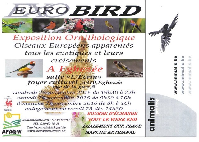 Expo Eurobird-Exobird 2016 Eurobi10