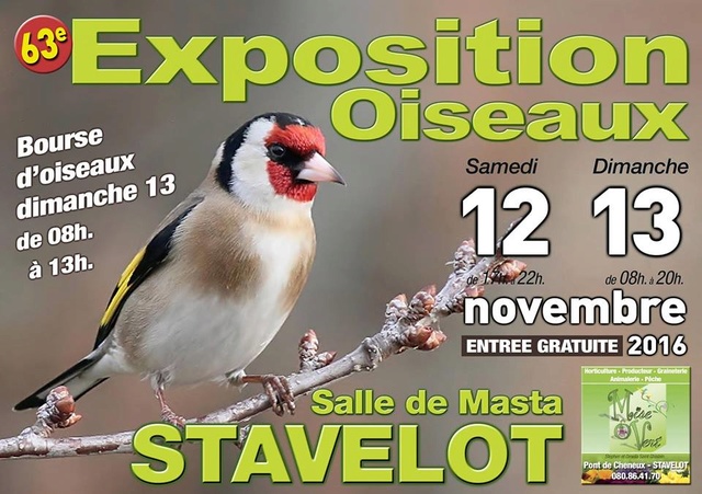 Expo-bourse à Stavelot [12-13 novembre 2016] Stavel10