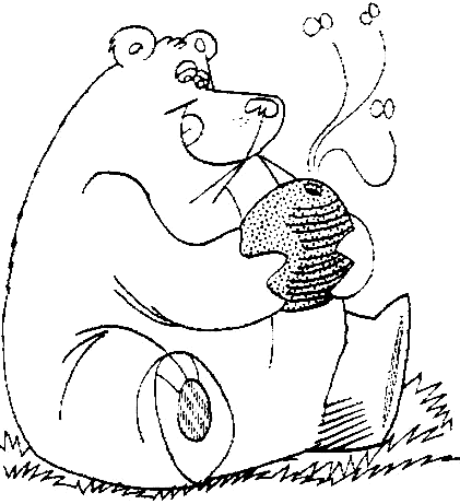 Votre Animal Totem - Page 2 L-ours10