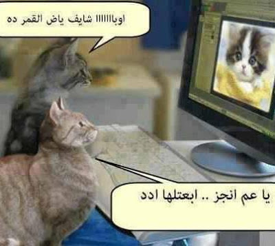 صور مضحكة