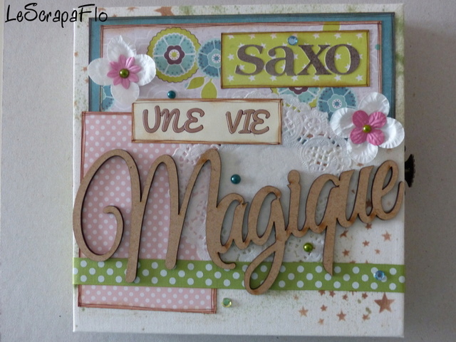SB04 - L'album de Flo - Saxo P1020515