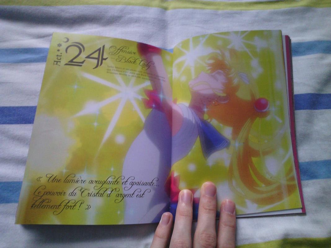 Sailor Moon - Page 25 Img_2035