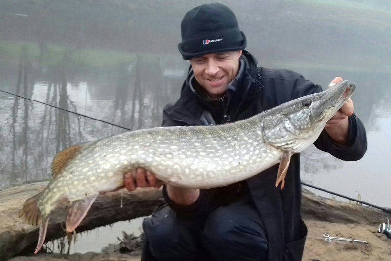 20lbs pike