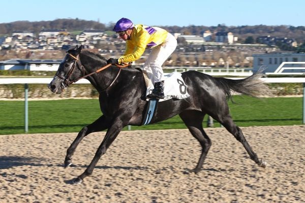  Deauville - Quinté - Lundi 19/12/16 F87c4510