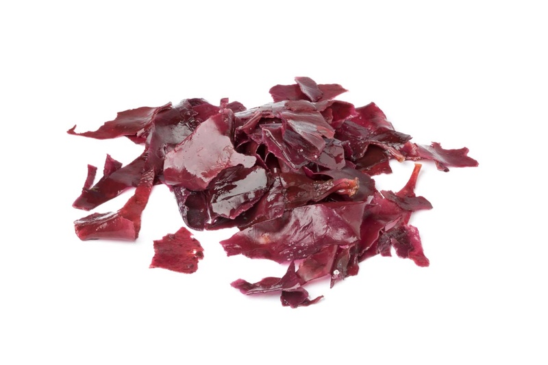 RED SEAWEED: THE RADIATION PROTECTION SUPERFOOD YOU'RE NOT GETTING ENOUGH OF Salted10