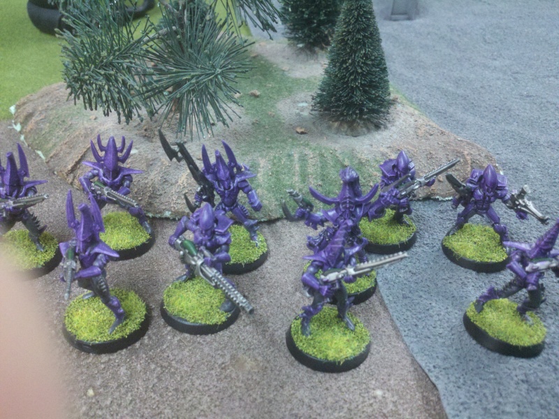 Hey, I just completely repainted my army. Dark_e12