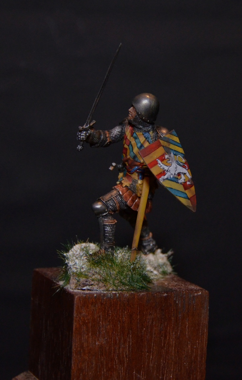 pegaso models german knight Dsc_0622