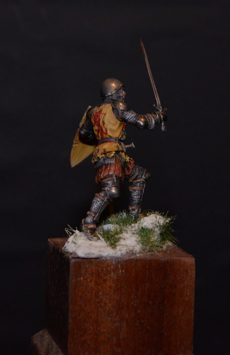 pegaso models german knight Dsc_0623