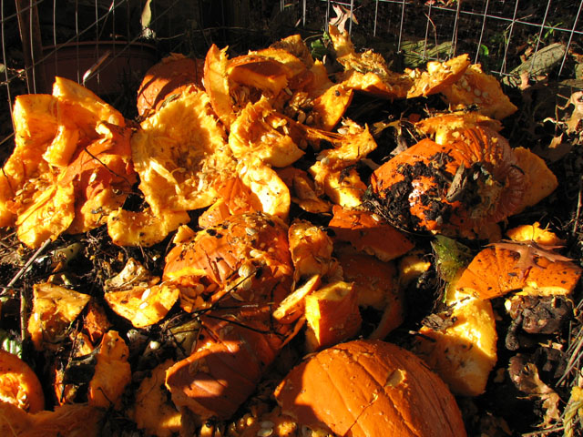 New items for composting Pumkin20