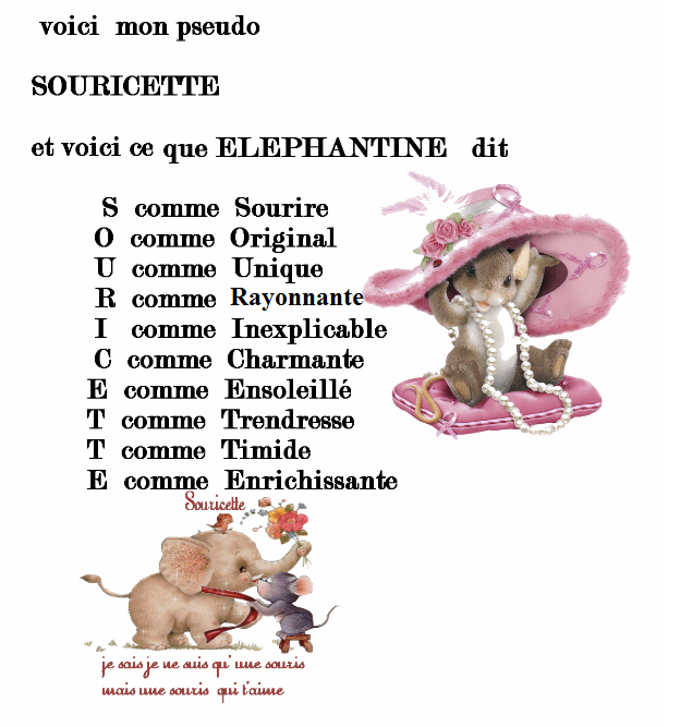 pseudo SOURICETTE  vus par ELEPHANTINE ♥☺♥ Souric10