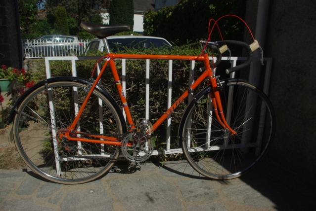 remise en conformité d'un vélo à cadre STELLA Imgp1012