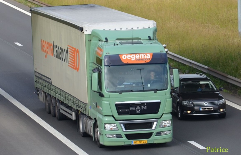 Oegema transport (Dedemsvaart) 100pp10