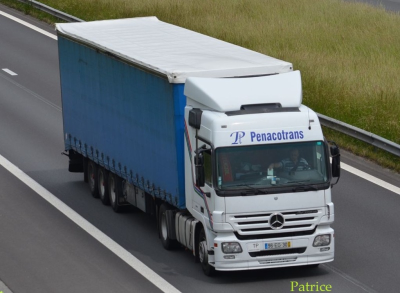 Penacotrans  (Paredes) 356pp10