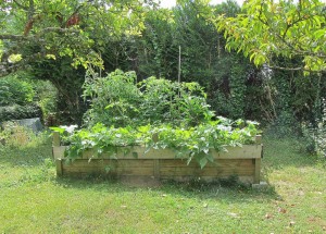 Construction d'un potager surélevé. Pf-pot17