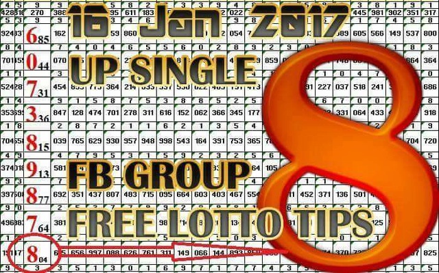 Mr-Shuk Lal 100% Tips 16-01-2017 - Page 6 15741213