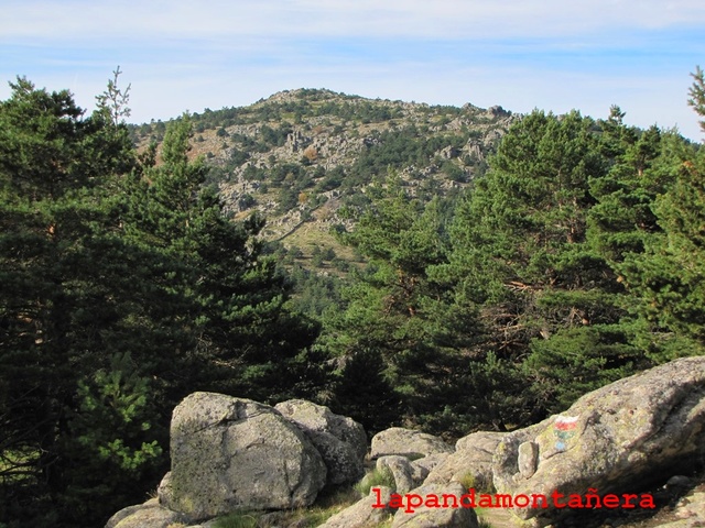 20161101 - CABEZA LIJAR - PEÑA BLANCA 00210