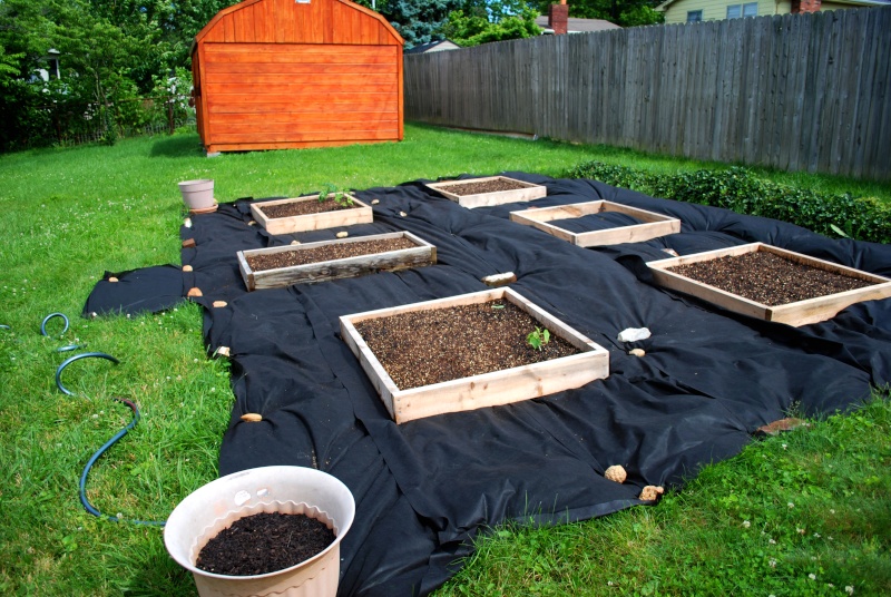 Monthly Avatar Theme August 2013: Your Garden in August. Part 2 20130624