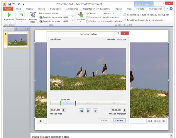 Como Agregar E Insertar Videos En Las Presentaciones De PowerPoint Hucamt10