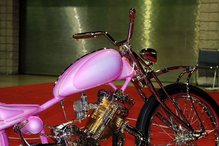 La pink panther Andrew10